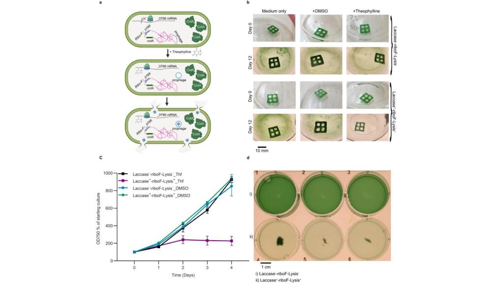 Esquema de cómo el material purifica el agua.