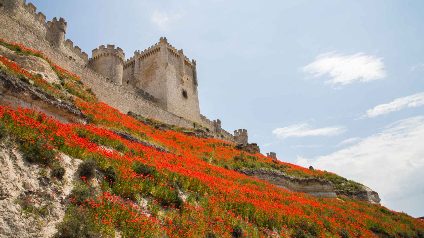 El Castillo de Peñafiel