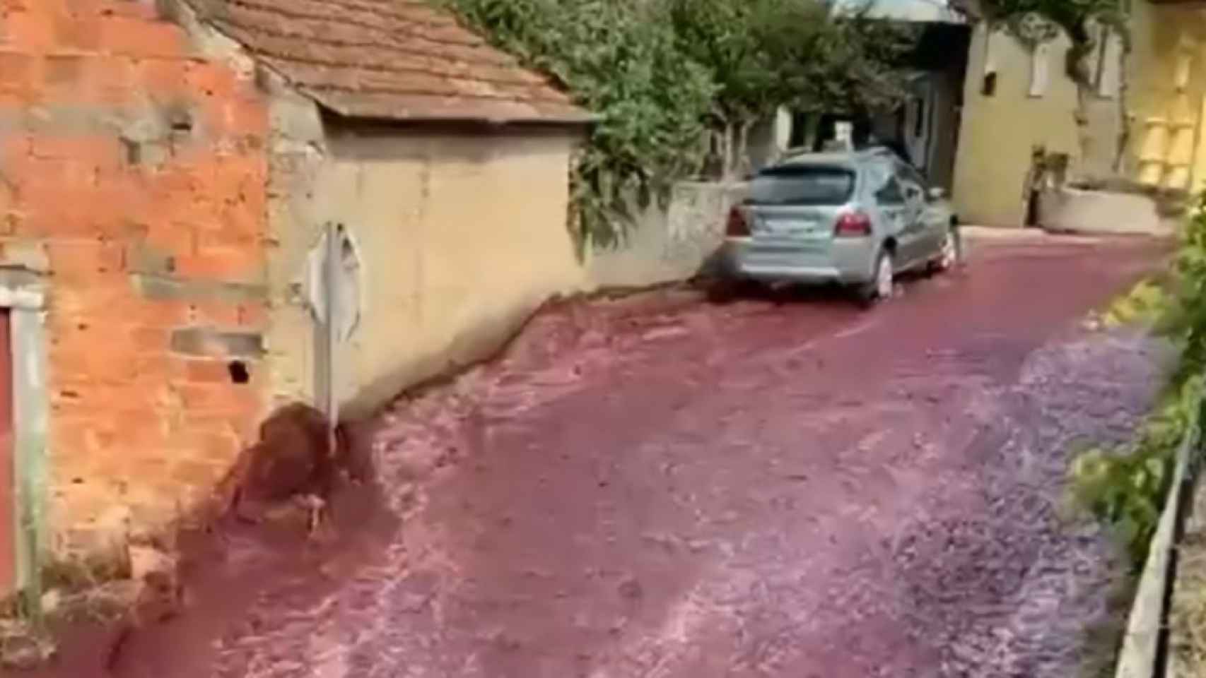 uma inundação de vinho inunda uma cidade
