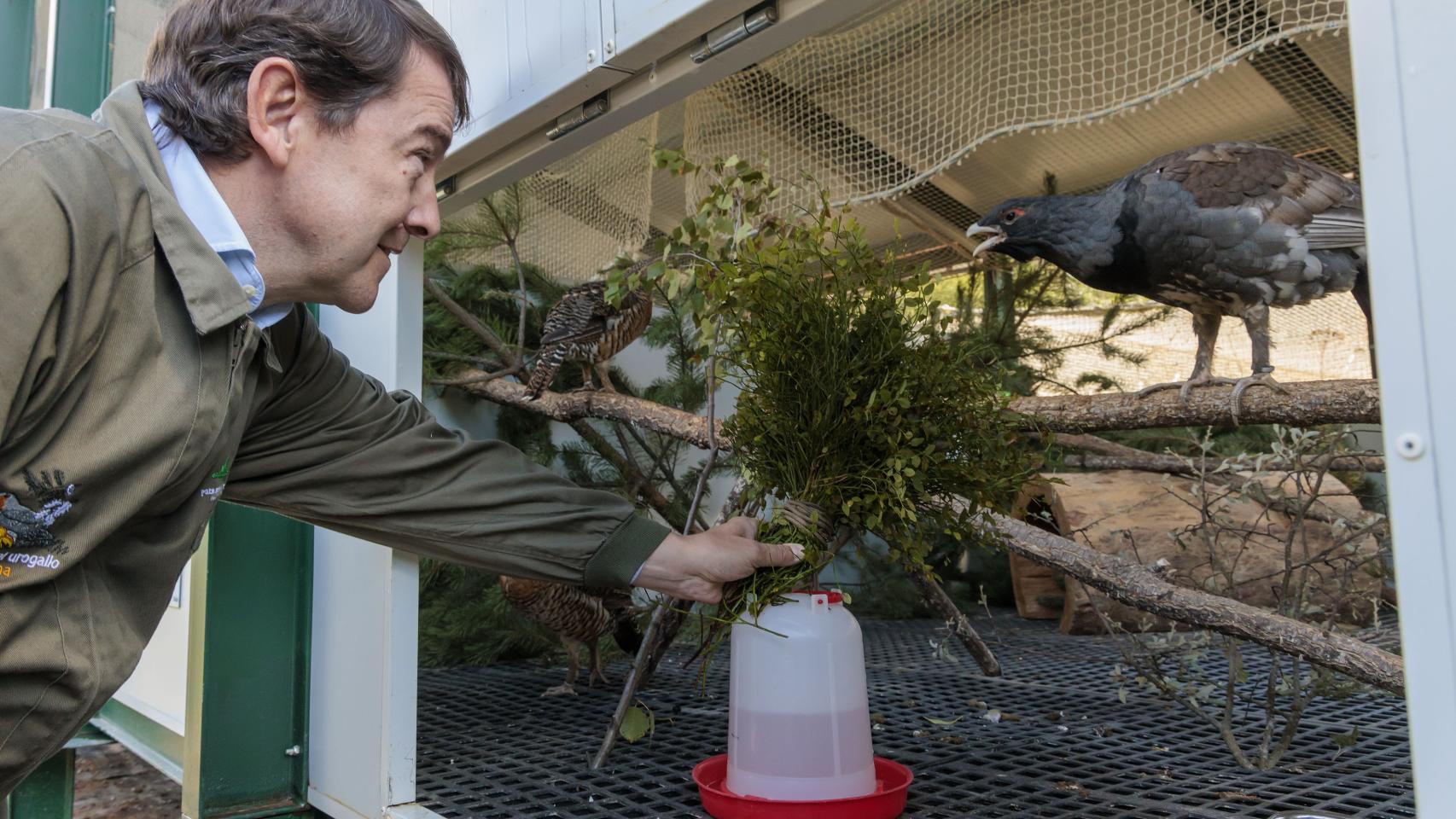 Mañueco visita el centro de cría del urogallo