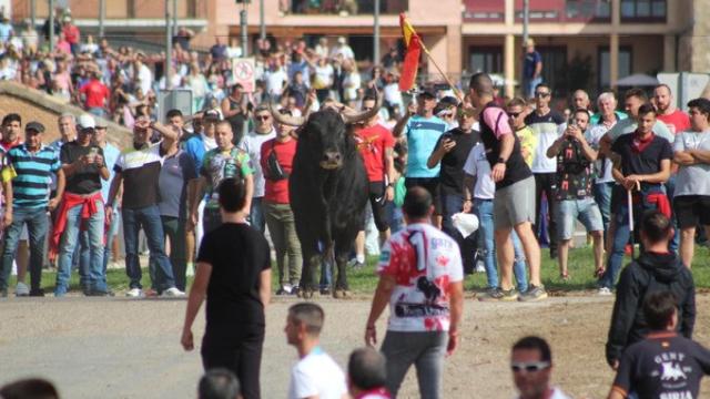 El Toro de la Vega de Tordesillas 2023