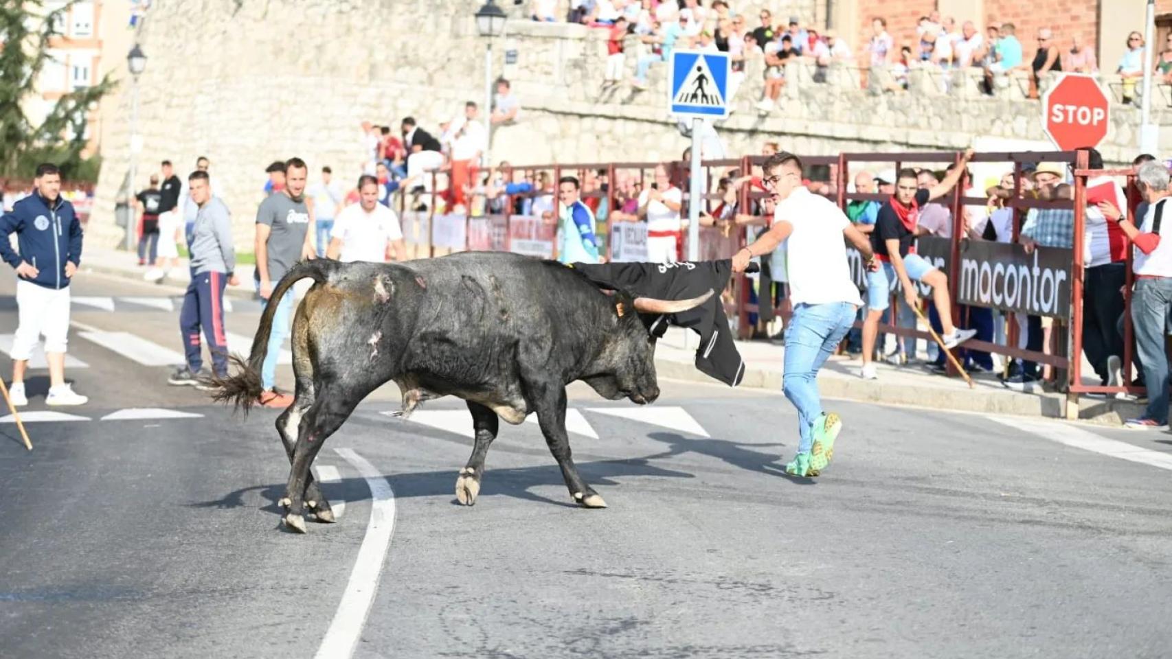 Imagen de un encierro en Tordesillas