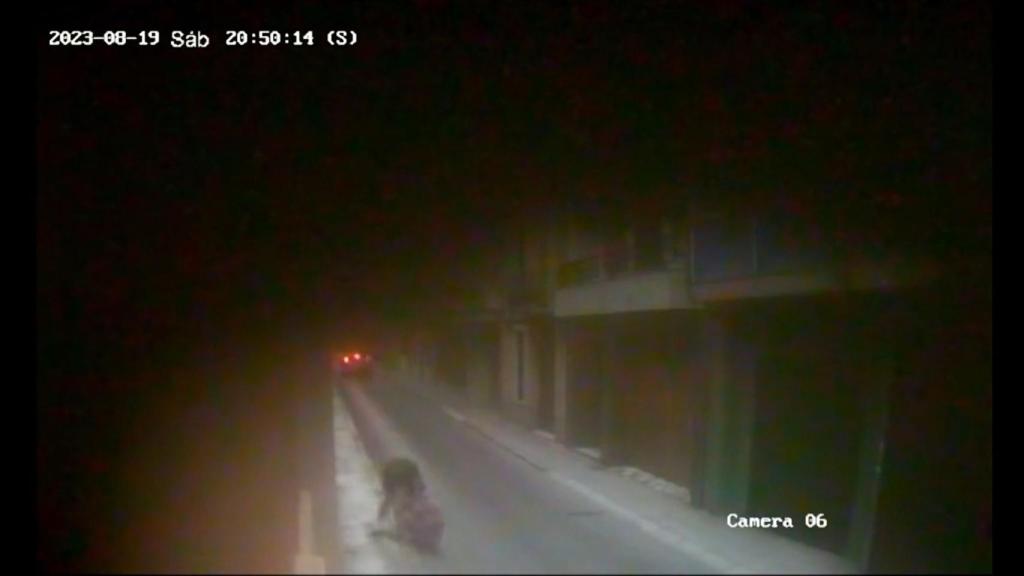 Vídeo en el que se observa cómo un hombre tira a una mujer al suelo para robarle el bolso. EE