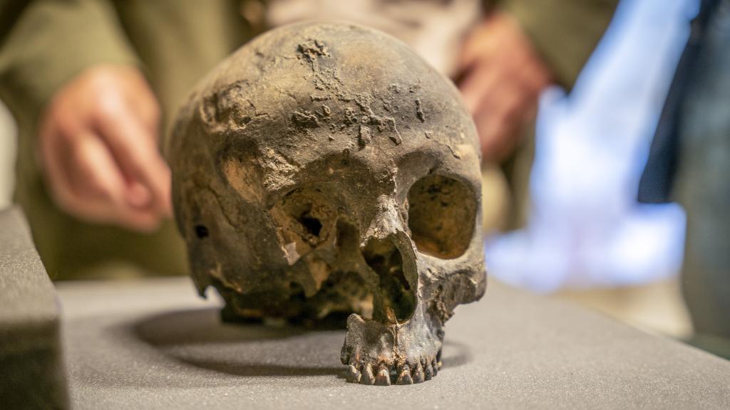 Uno de los cráneos visigodos hallados en La Garma.