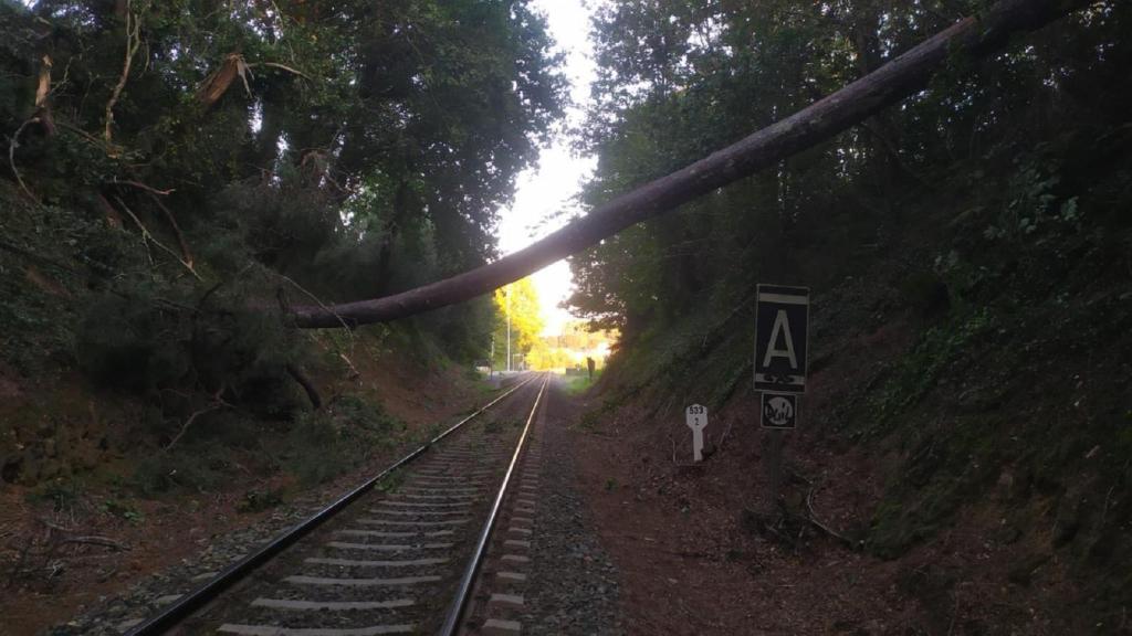 Árbol caído sobre la vía del tren en Cambre.