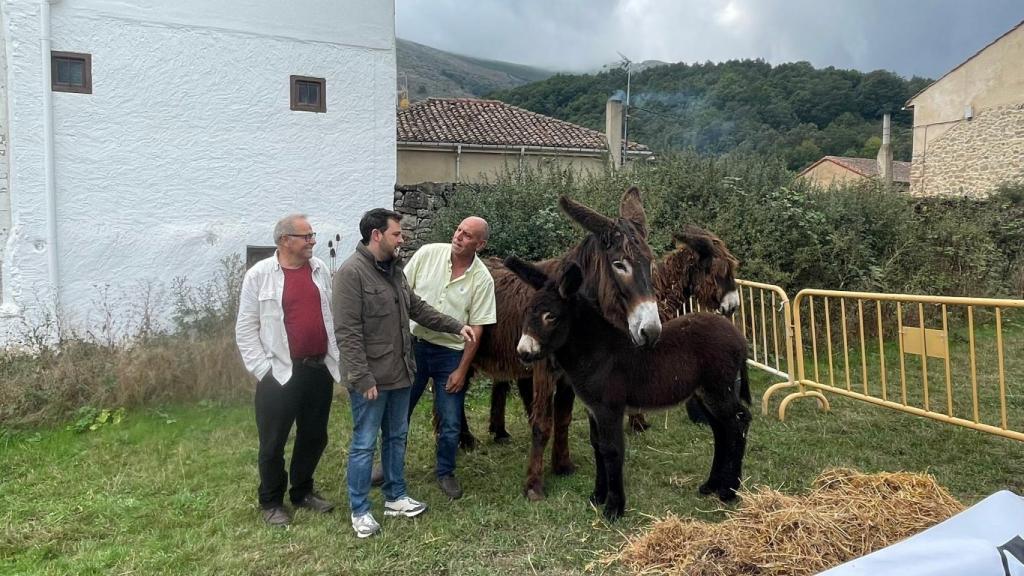 Visita a los burros de la raza zamorano-leonesa en Naturcyl