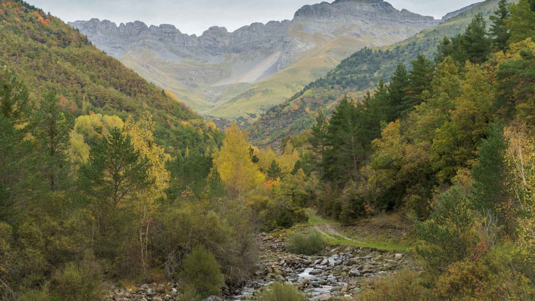 El bosque del Pirineo Aragonés que no te puedes perder este otoño: está rodeado de mitos y leyendas