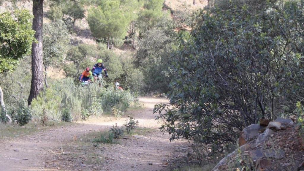 Camino de Solana del Pino. Foto: Instagram @solanadelpinoturismo.