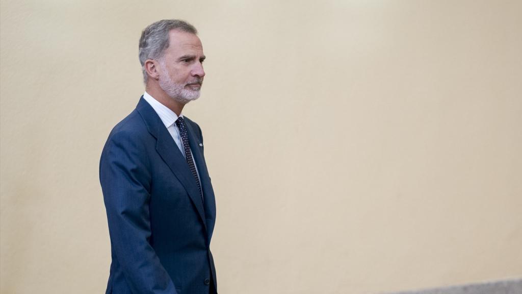 El rey Felipe VI.