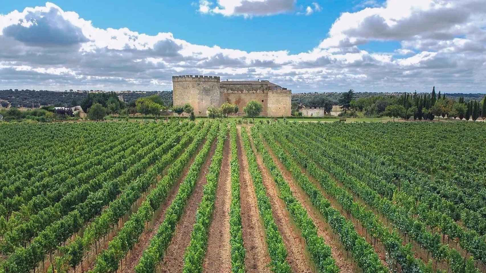 Cosecha propia de vino con enormes extensiones de viñedo que rodean al castillo