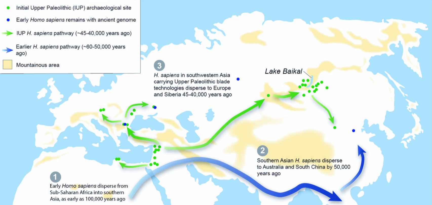 Mapa sobre las rutas migratorias del 'Homo sapiens' desde África hacia Eurasia.