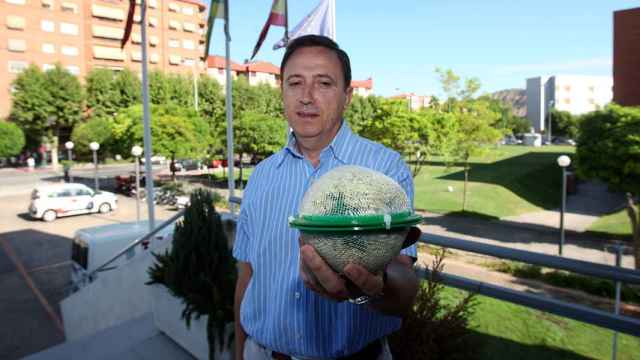 El investigador Javier Martínez Abaigar sostiene una de las 'mossphere'.
