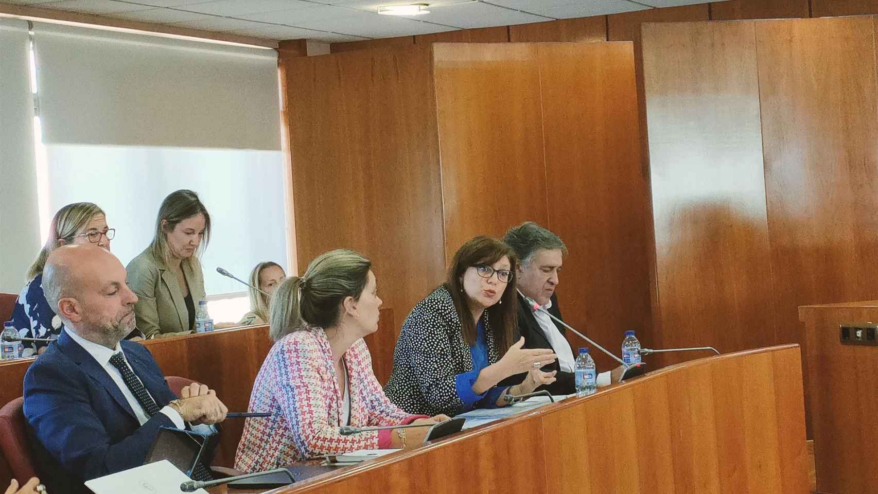 María José Caride durante una sesión plenaria en Vigo.