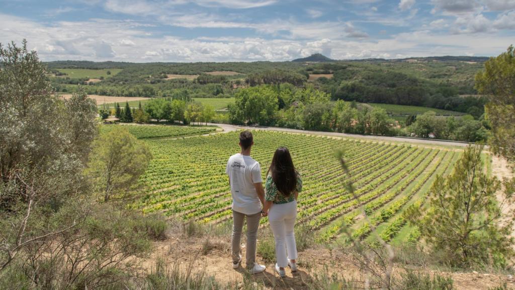 Vista de viñedo en Somontano