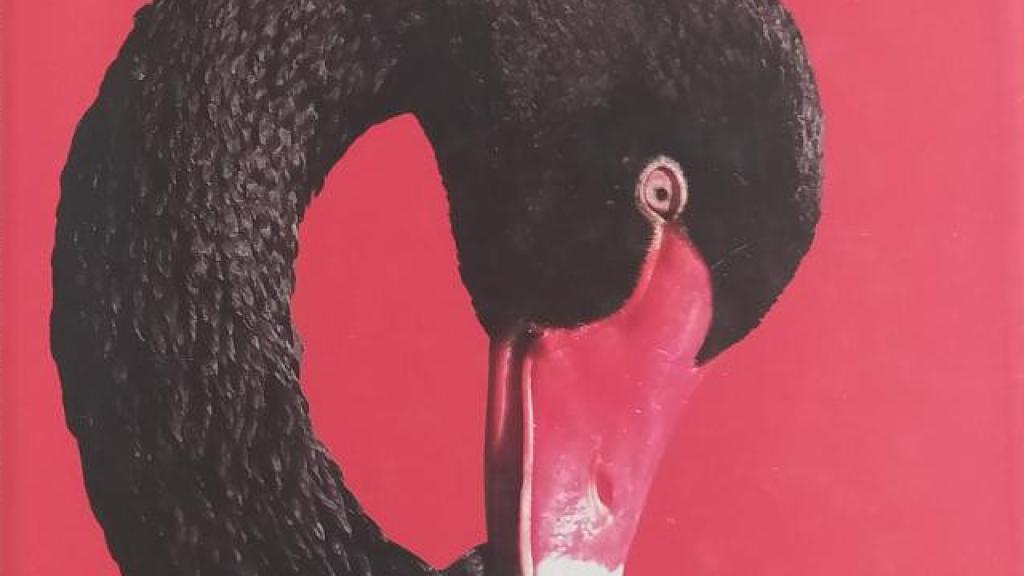 'El cisne negro', de Nassim Nicholas Taleb.