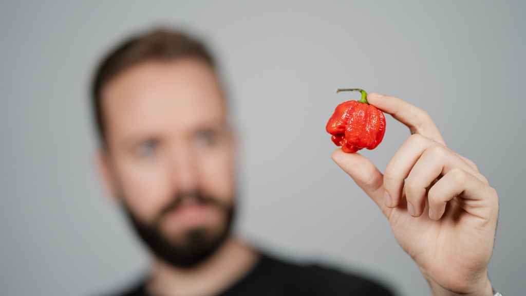 Un chile Carolina reaper, el más picante del mundo, según el libro Guinness de los récords.