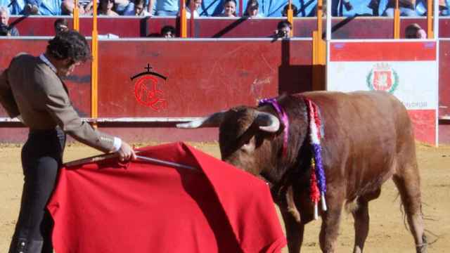 La corrida de toros en Mayorga, en imágenes