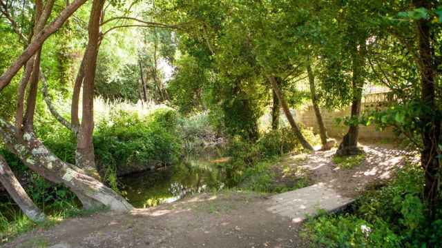 Sendero del río Muíños en Nigrán (Pontevedra).