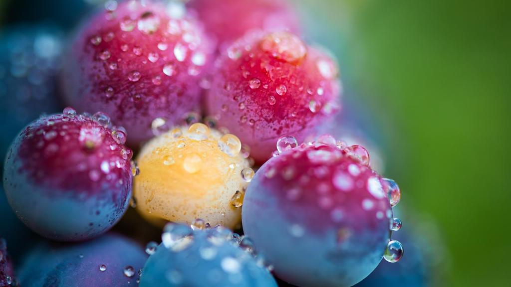 Caviar de uva de Blanca Ruth Ruiz