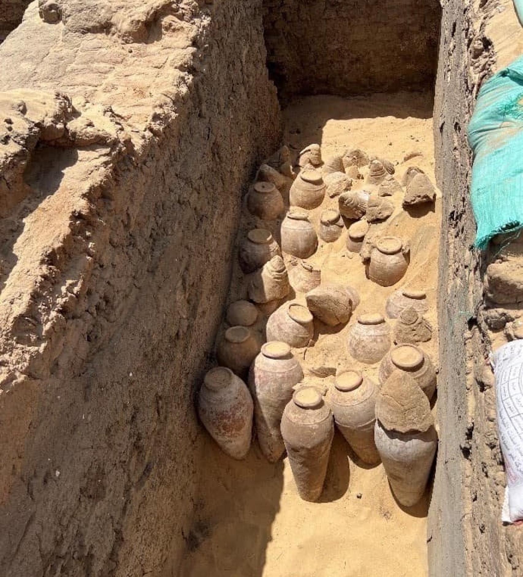 Algunas de las tinajas de vino halladas durante la excavación.