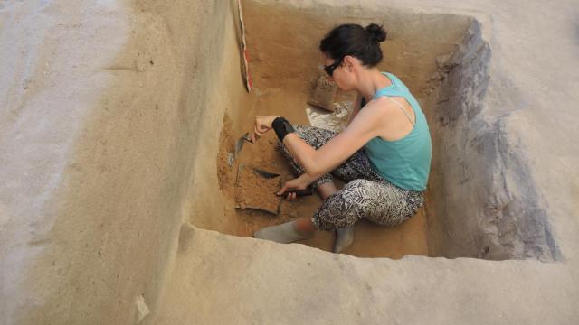 Investigadores de la UA descubren un campo de dunas en Villena de finales de la Edad del Hielo