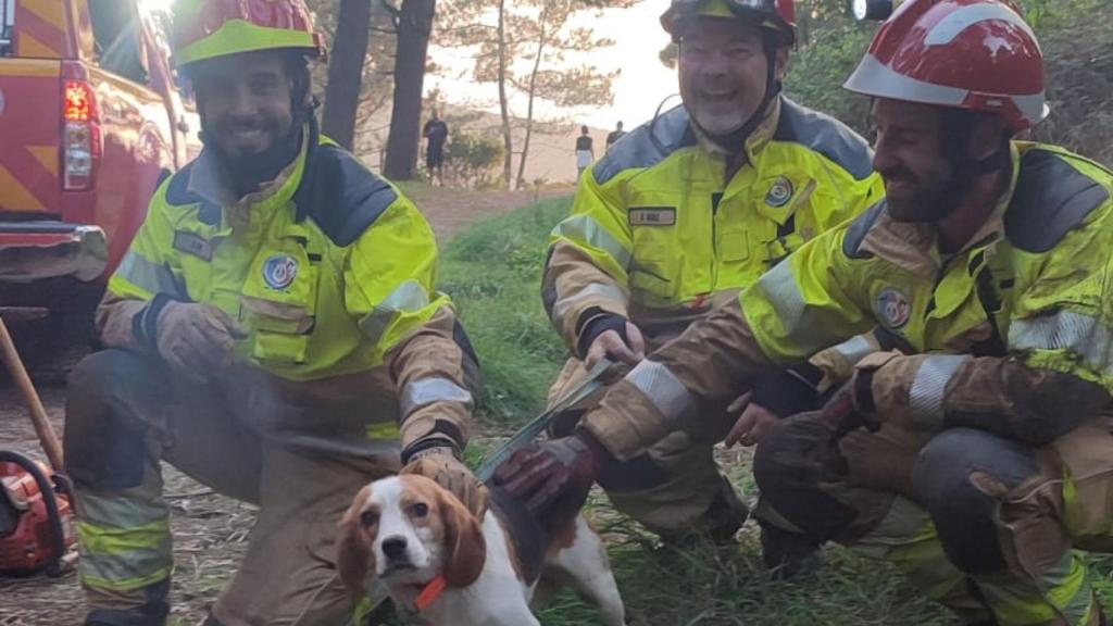 Rescatado un perro en una zona de difícil acceso en Canabal en Oleiros (A Coruña)