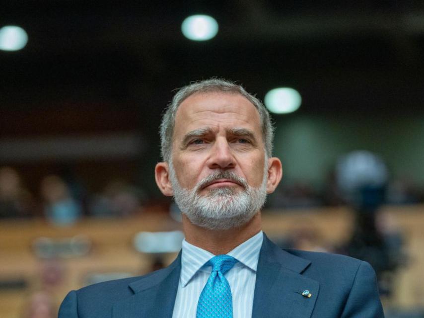 Felipe VI, rey de España.