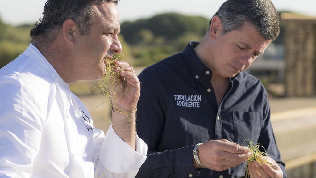 El arroz marino que cultiva Aponiente