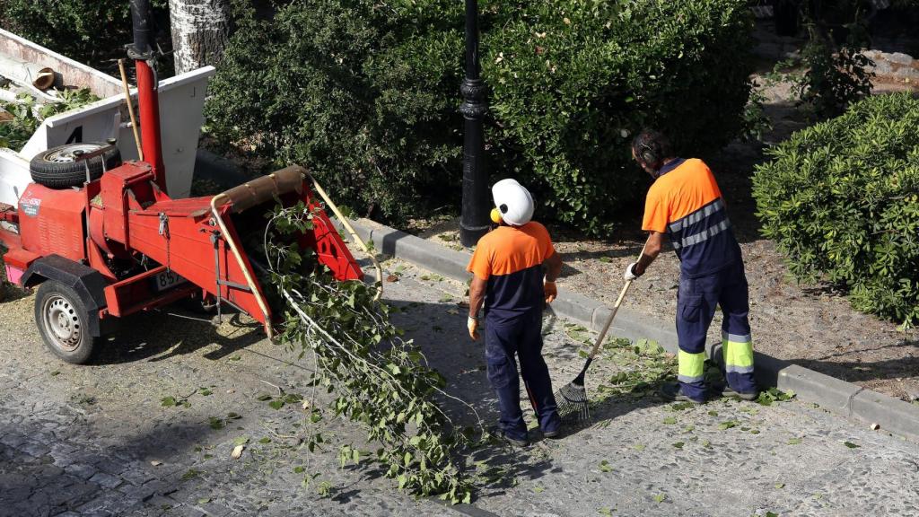 Dos trabajadores municipales en Toledo.