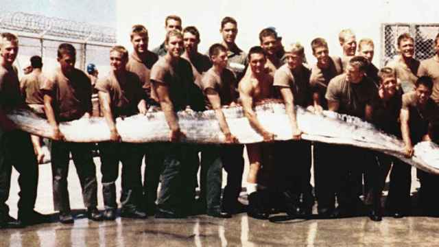 Miembros de la Armada de los Estados Unidos muestran un pez remo gigante de 7 metros.