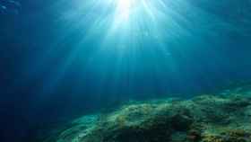Zona hadal: un vistazo a lo desconocido en las profundidades del océano