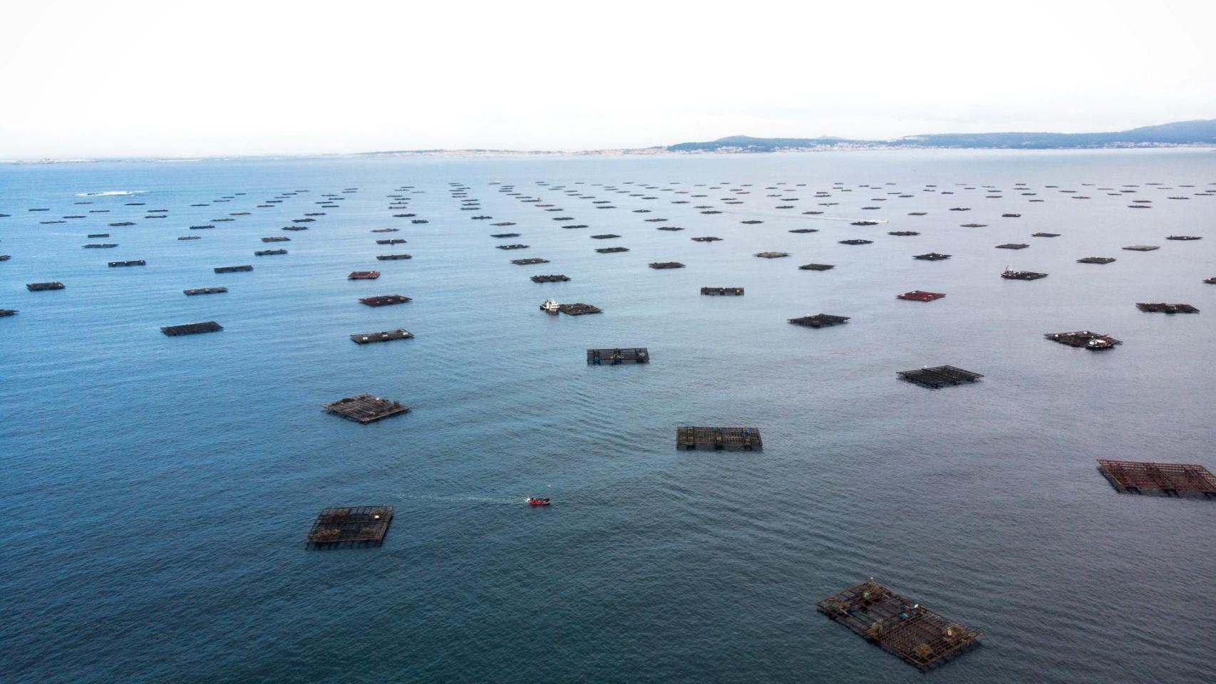 Panorámica de unas bateas en las Rías Baixas