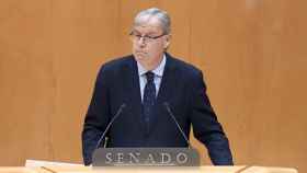 El senador del PP por León Antonio Silván defiende la moción contra la amnistía, este martes en el Senado.