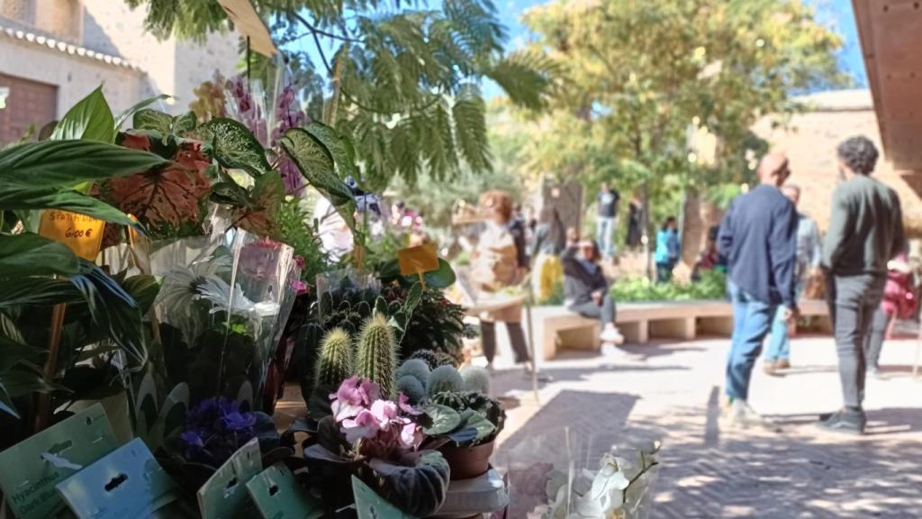 Imagen de archivo del Mercado de Flores.