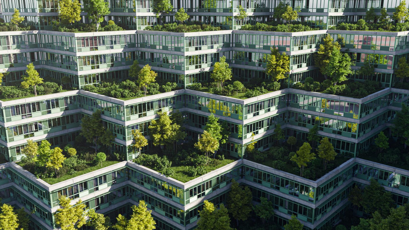 El futuro de los tejados verdes: huertos energéticos que revolucionan la producción de energía
