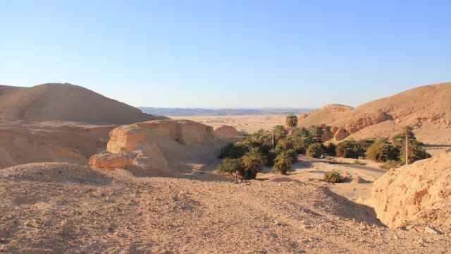 Vista general del humedal del Wadi Gharandel, en la Península del Sinaí.