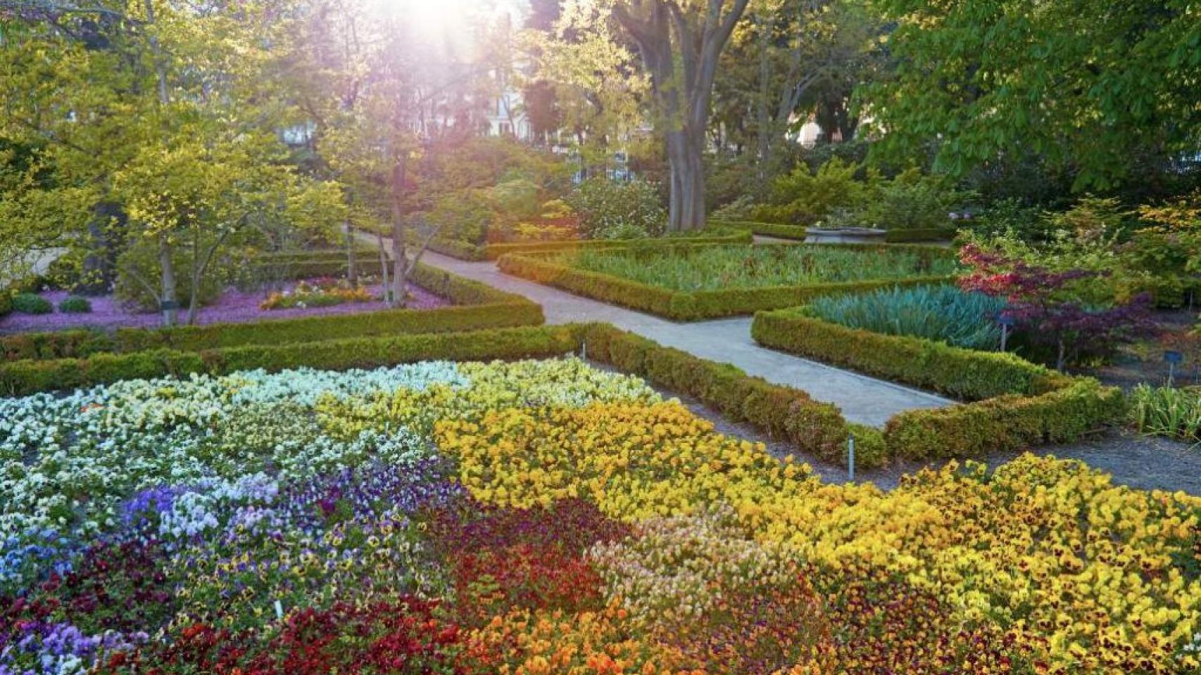 Conoce el cine gratuito al aire libre del Real Jardín Botánico de Madrid que tienes que visitar este octubre.