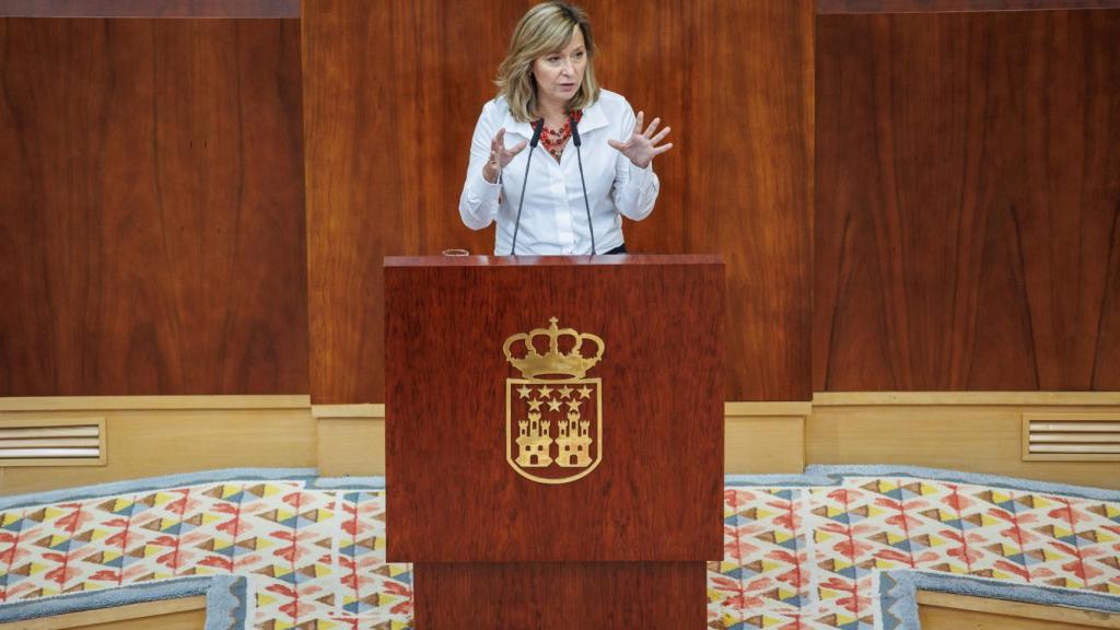 Llanos Castellano ha defendido la postura del PSOE durante el pleno de la Amnistía.