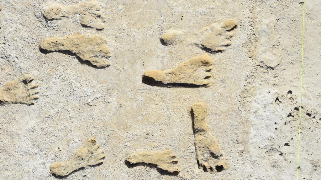 Huellas humanas fosilizadas halladas en el parque nacional White Sands, en Nuevo México, EEUU.
