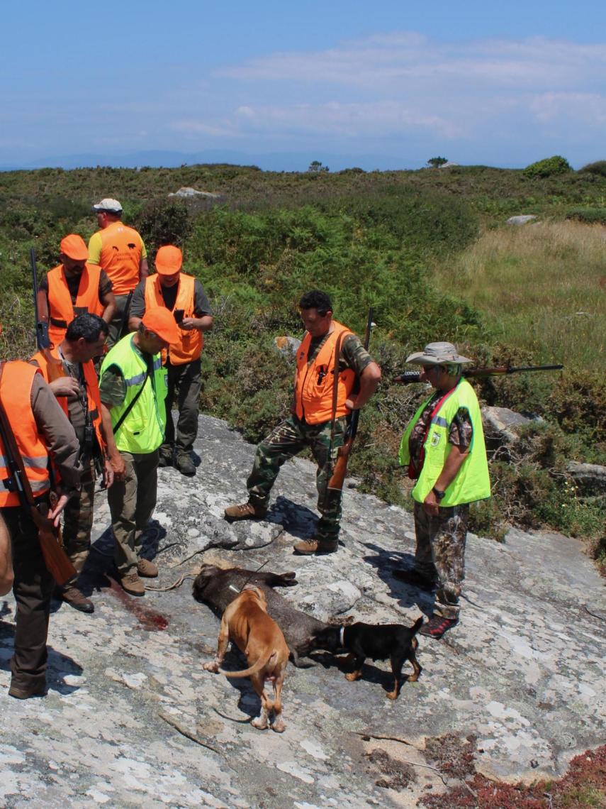 Un grupo de cazadores rodean a otro animal abatido