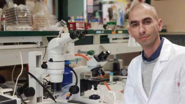 Raúl Rivas, catedrático de Microbiología y autor de 'Historia de los microbios'.