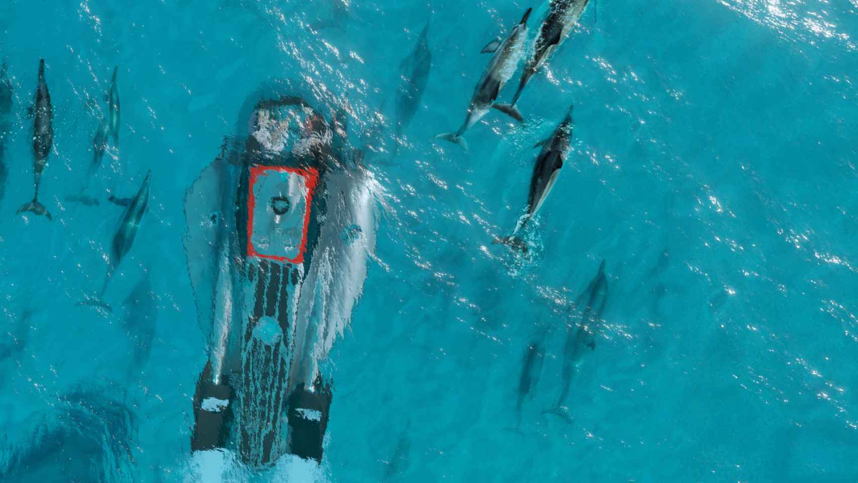 Un montaje del Super Sub navegando junto a varios delfines
