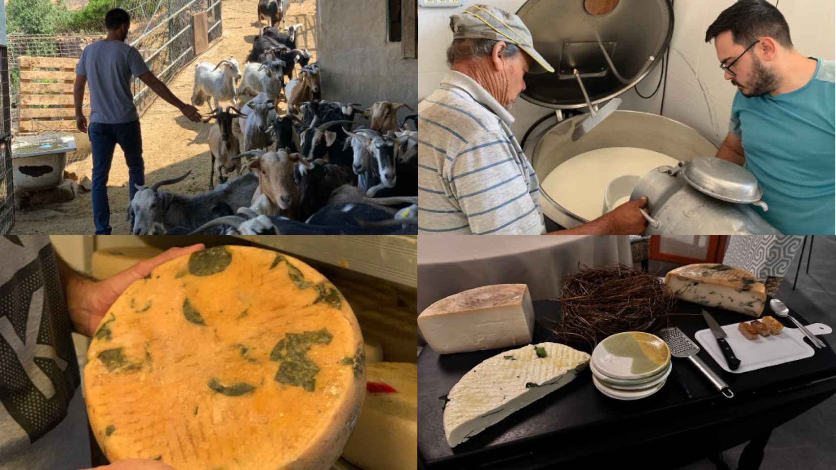 La elaboración del queso en Muxgo