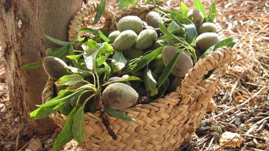 Los frutos secos como las almendras son fuente de biotina.