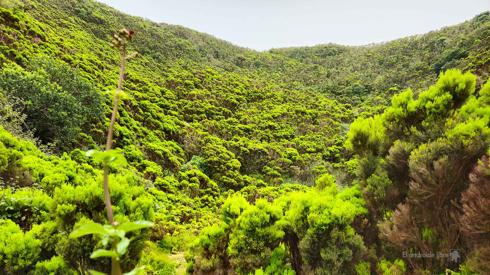 Foto tomada con el Samsung Galaxy S23 Ultra en la isla de Terceira, Portugal