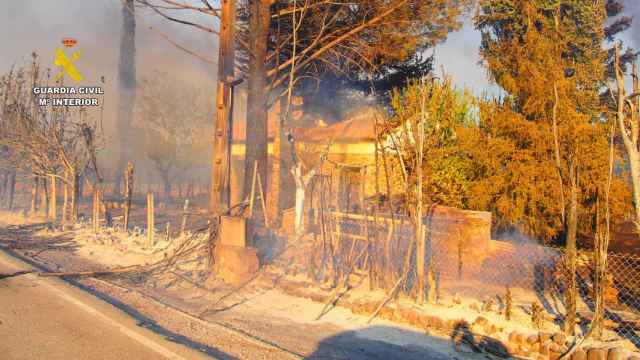 El Seprona detiene al supuesto autor del incendio de Valdepeñas de la Sierra en la provincia de Guadalajara