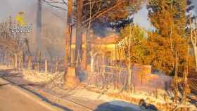 El Seprona detiene al supuesto autor del incendio de Valdepeñas de la Sierra en la provincia de Guadalajara