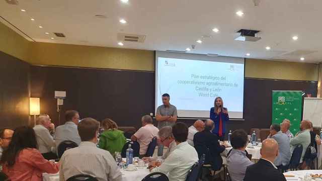 Mª José González Garrachón, dtra. gral. de la Industria y la Cadena Agroalimentarias, durante una de las reuniones de Urcacyl para presentar el Plan Estratégico 2024-2027