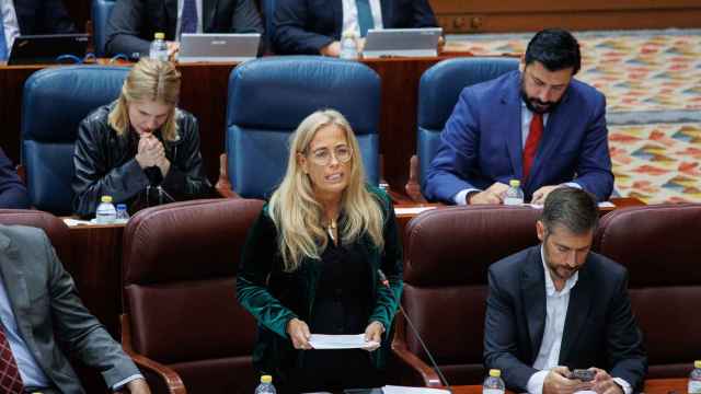 La consejera de Economía, Hacienda y Empleo, Rocío Albert, interviene durante una sesión plenaria de la Asamblea de Madrid.