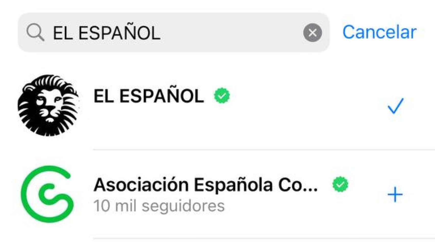 El canal de EL ESPAÑOL en el buscador de la app